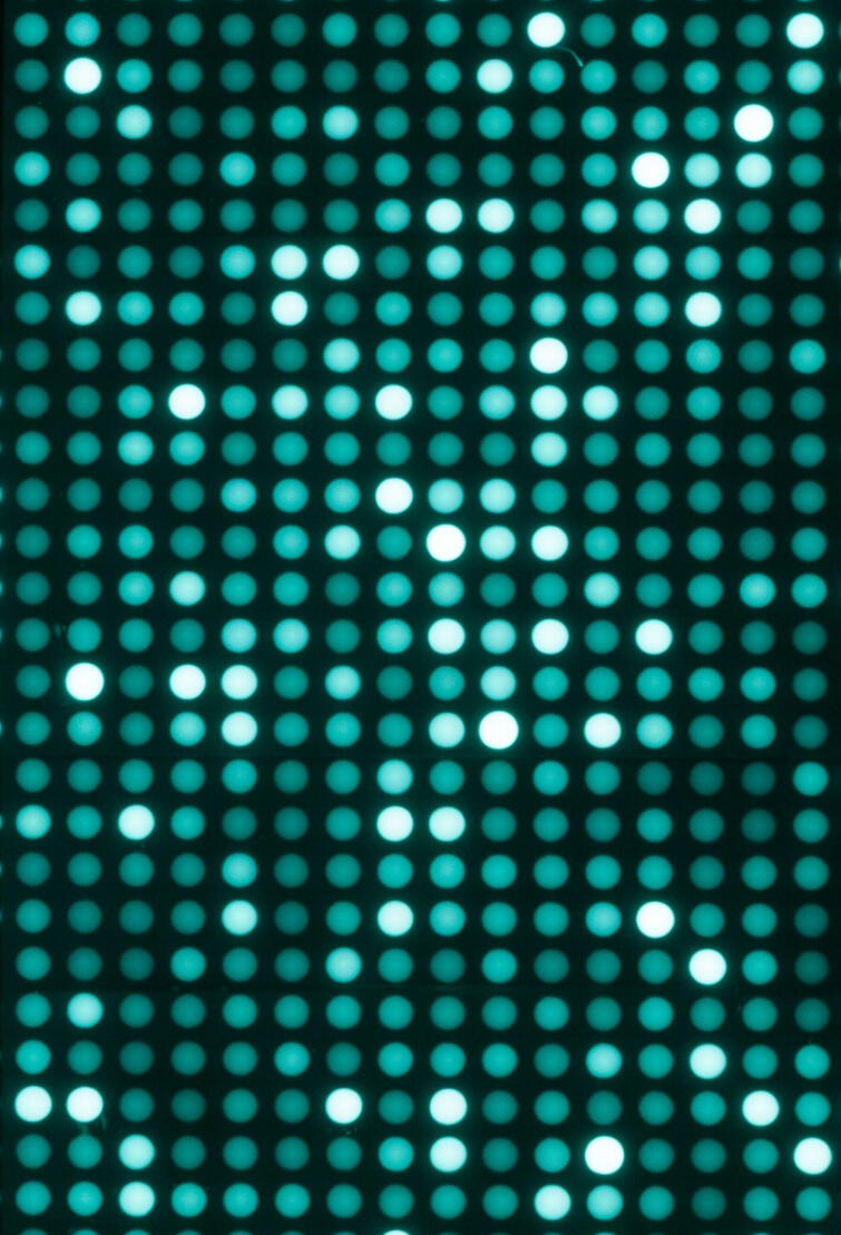 ImmunoSig: Advanced Immunoprofiling Services with Machine Learning Peptide microarray fluorescence scan showing antibody binding patterns — ImmunoSig immunoprofiling platform