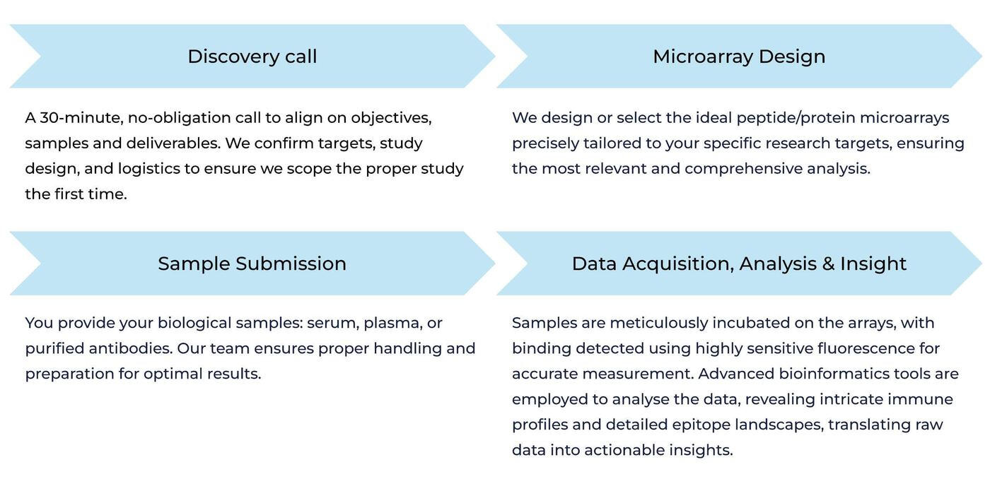 End-to-End Immunoprofiling Services Workflow Peptide microarray services workflow demonstrating steps for accurate immunogenicity assessment.